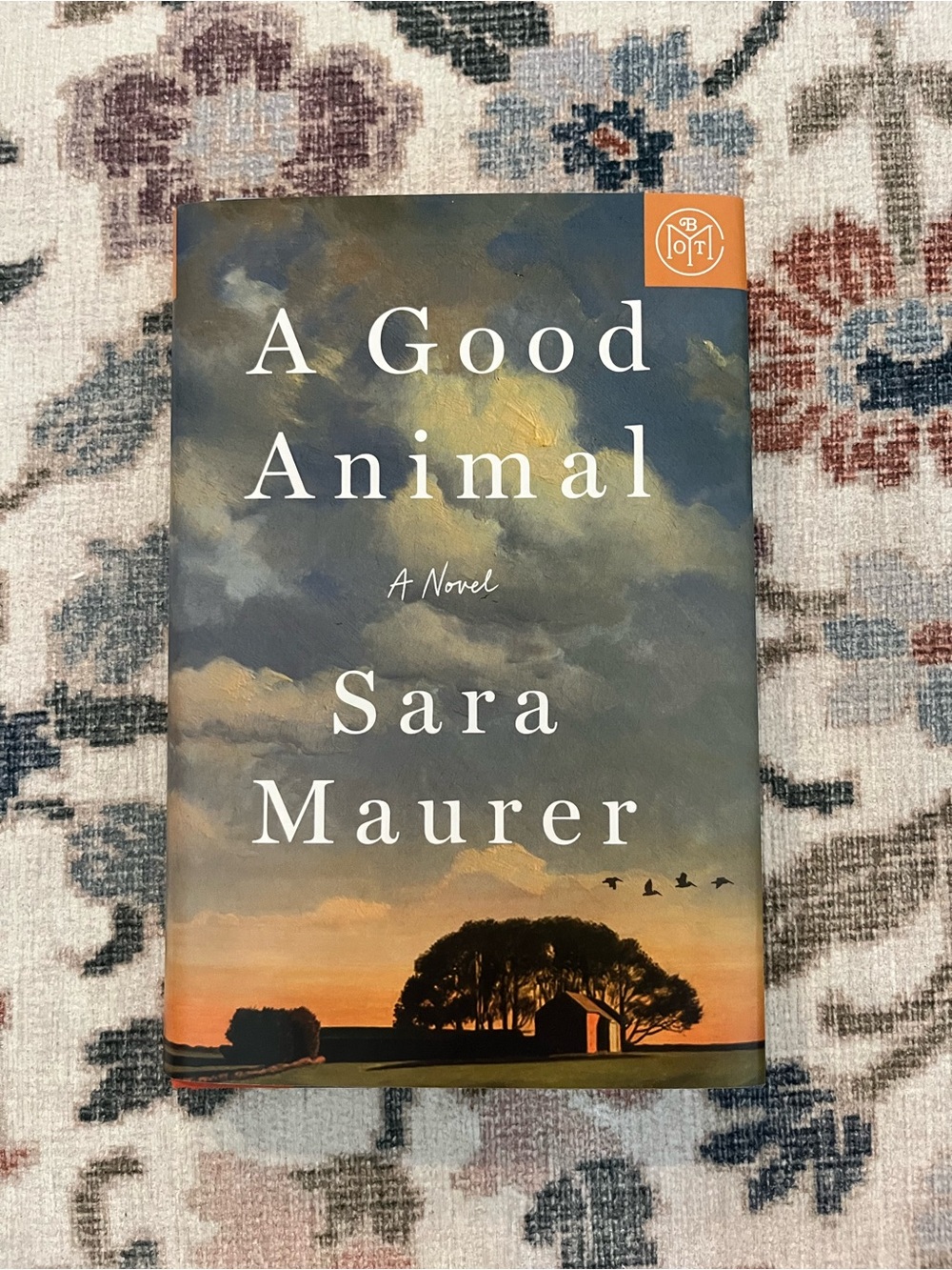 A Good Animal - by Sara Maurer